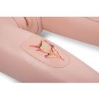 3B Scientific&reg; Patient Care Manikin PRO, Light Skin, 1025295 [P10N], Adult Patient Care (Small)