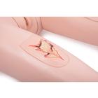 3B Scientific&reg; Pflegepuppe Basic, 1018817 [P11/1], Krankenpflege Erwachsene (Small)