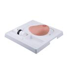 SONOtrain™ Breast model with tumours, 1019635 [P125], Ultrasound Skill Trainers