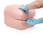 Bowel Care and Enema Trainer, Light Skin, 1022519 [P16], Adult Patient Care (Small)