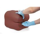 Entrenador de cuidado intestinal P16D, tono de piel oscuro, 1023320 [P16D], Cuidado del paciente adulto (Small)