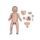Nurse Training Baby, New Born, 1000505 [P30], Neonatal Patient Care (Small)