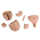 Cura del neonato, 1000505 [P30], Assistenza neonatale (Small)