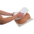 Image Guided Lumbar Spinal Injection Trainer P65, 1021898 [P65], Injections and Punctures (Small)