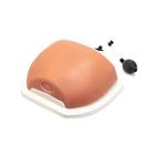 Image Guided Thoracic Spinal Injection Trainer P66, 1021899 [P66], Injections and Punctures (Small)