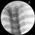 이미지 유도 흉추 주사 트레이너 Image Guided Thoracic Spinal Injection Trainer P66, 1021899 [P66], 주사실습 및 천자 (Small)
