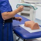 Image Guided Cervical Spine Injection Trainer P67, 1021900 [P67], Injections and Punctures (Small)