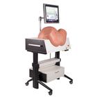 SIMone Simulador de Parto, 1019599 [P80/1], Obstetrícia