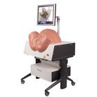 NEW SIMone Birthing Simulator, 1019599 [P80/1], Obstetrics (Small)