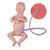 3B Scientific® Temel Doğum Simülatörü, 1020332 [P90B], Obstetrik (Small)