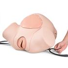 3B Scientific&reg; Profesyonel Doğum Sim&uuml;lat&ouml;r&uuml;, 1022879 [P90PN], Obstetrik (Small)