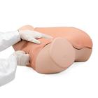 Gynecologic Skills Trainer, Light Skin, 1021592 [P91], Gynecology (Small)