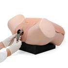 Gyn&auml;kologietrainer P91, 1021592 [P91], Gyn&auml;kologie (Small)