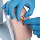 Catheterization Simulator Basic-Female, Light Skin, 1020231 [P93B-F], Catheterization (Small)