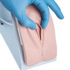 Catheterization Simulator Set Basic, Light Skin&nbsp;, 1020842 [P93B-S], Catheterization (Small)