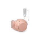Simulatore di cateterismo PRO SPC, femminile, 1023008 [P93SPC-F], Cateterizzazione