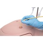 Catheterization Simulator Pro-Male, Light Skin, 1023009 [P93SPC-M], Catheterization (Small)