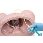 Catheterization Simulator Pro-Male, Light Skin, 1023009 [P93SPC-M], Catheterization (Small)