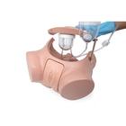 Catheterization Simulator Set Pro, Light Skin, 1023010 [P93SPC-S], Catheterization (Small)