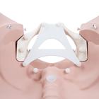 3B Birthing Stages Trainer, Light Skin, 1020628 [P94], Obstetrics (Small)