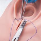 Episiotomy and Suturing Trainer, Light Skin, 1019639 [P95], Obstetrics (Small)