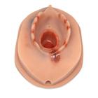 M&oacute;dulo de formaci&oacute;n en sutura de episiotom&iacute;a para Simulador de Parto P90, 1022212 [P96], Obstetricia (Small)