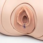 Episiotomy Suture Training Module for Birthing Simulator P90, Light Skin
, 1022212 [P96], Obstetrics (Small)