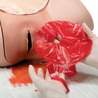 Postpartum Hemorrhage Trainer - PPH Trainer P97, 1021568 [P97], Obstetrics (Small)