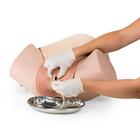 Postpartum Hemorrhage Trainer - PPH Trainer P97, 1021568 [P97], Obstetrics (Small)