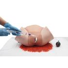 SIMULADOR DE HEMORRAGIA P&Oacute;S-PARTO P97 PRO, 1023727 [P97P], Obstetr&iacute;cia (Small)
