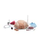 Postpartum Hemorrhage Simulator &ndash; PPH Trainer P97 PRO, Light Skin, 1023727 [P97P], Obstetrics (Small)