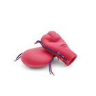 M&oacute;dulo de HPP P97 PRO para simulador de parto P90, 1023731 [P97PM], Obstetricia (Small)