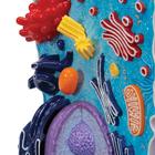 Animal Cell Model, 1000523 [R04], Human and Animal Cell (Small)