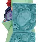 Plant cell model, 1000524 [R05], Plant Anatomy Models (Small)