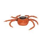 Carrapato (Ixodes ricinus), modelo, 1000525 [R50], Modelos Animais (Small)