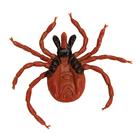 Castor Bean Tick (Ixodes ricinus), Model, 1000525 [R50], Animal Models (Small)