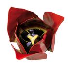 Flor tulipa (Tulipa gesneriana), modelo, 1017832 [T210101], Plantas monocotiled&ocirc;neas (Small)