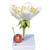 Fleur de cerisier avec fruit (Prunus avium), modèle, 1020125 [T210191], Dicotylédones (Small)
