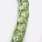 Canola Blossom (Brassica napus ssp. oleifera), Model, 1000531 [T21020], Dicotyledonous Plant Models (Small)
