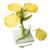 Цветок рапса (Brassica napus ssp. oleifera), модель, 1000531 [T21020], Двудольные растения (Small)
