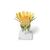 Flor de diente de león (Taraxum officinale), modelo, 1000532 [T21022], Plantas dicotiledóneas (Small)