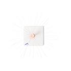 L&ouml;wenzahnbl&uuml;te (Taraxum officinale), Modell, 1000532 [T21022], Zweikeimbl&auml;ttrige Pflanzen (Small)