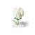 Цветок гороха (Pisum sativum), модель, 1000535 [T21026], Двудольные растения (Small)