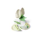 Erbsenbl&uuml;te (Pisum sativum), Modell, 1000535 [T21026], Zweikeimbl&auml;ttrige Pflanzen (Small)