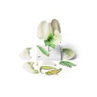 Цветок гороха (Pisum sativum), модель, 1000535 [T21026], Двудольные растения (Small)