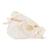 鲤鱼头，标本(Cyprinus carpio), 1020963 [T30010], 鱼类 (Small)