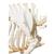 Esqueleto de cerdo domêstico (Sus scrofa domesticus), hembra, preparado, 1020996 [T300131f], Ganado (Small)