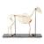 Esqueleto de yegua (Equus ferus caballus), preparado, 1021002 [T300141f], Ganado (Small)