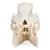 Cráneo de cerdo domêstico (Sus scrofa domesticus), hembra, preparado, 1021000 [T300161f], Ganado (Small)