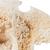 Mezzo cranio di cavallo (Equus ferus caballus), preparato, 1021008 [T300172], Animali da fattoria (Small)